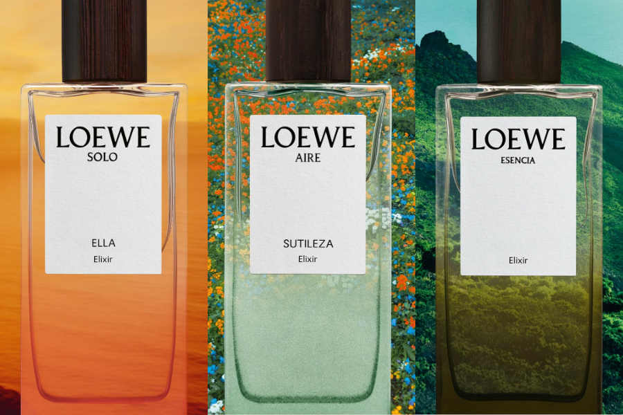 TOP 3 MÙI HƯƠNG ELIXIR ĐÌNH ĐÁM TRONG BỘ SƯU TẬP LANDSCAPE CỦA LOEWE