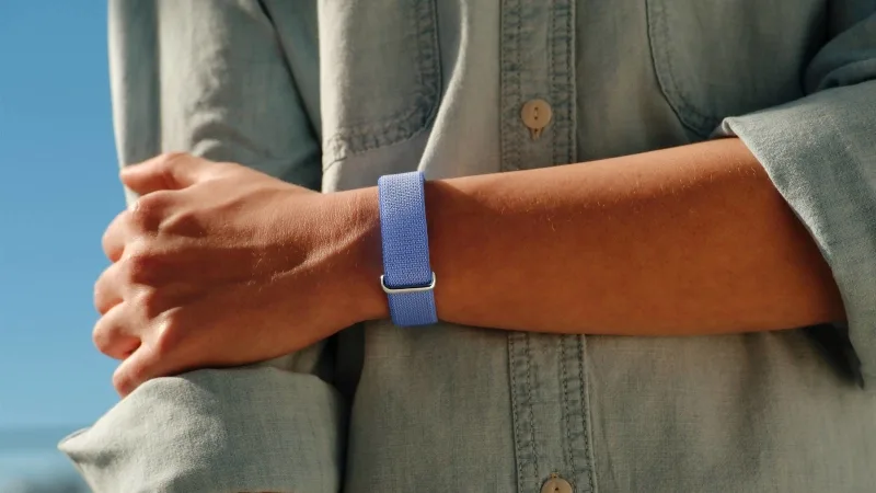 Fitbit Air. Ảnh: Internet