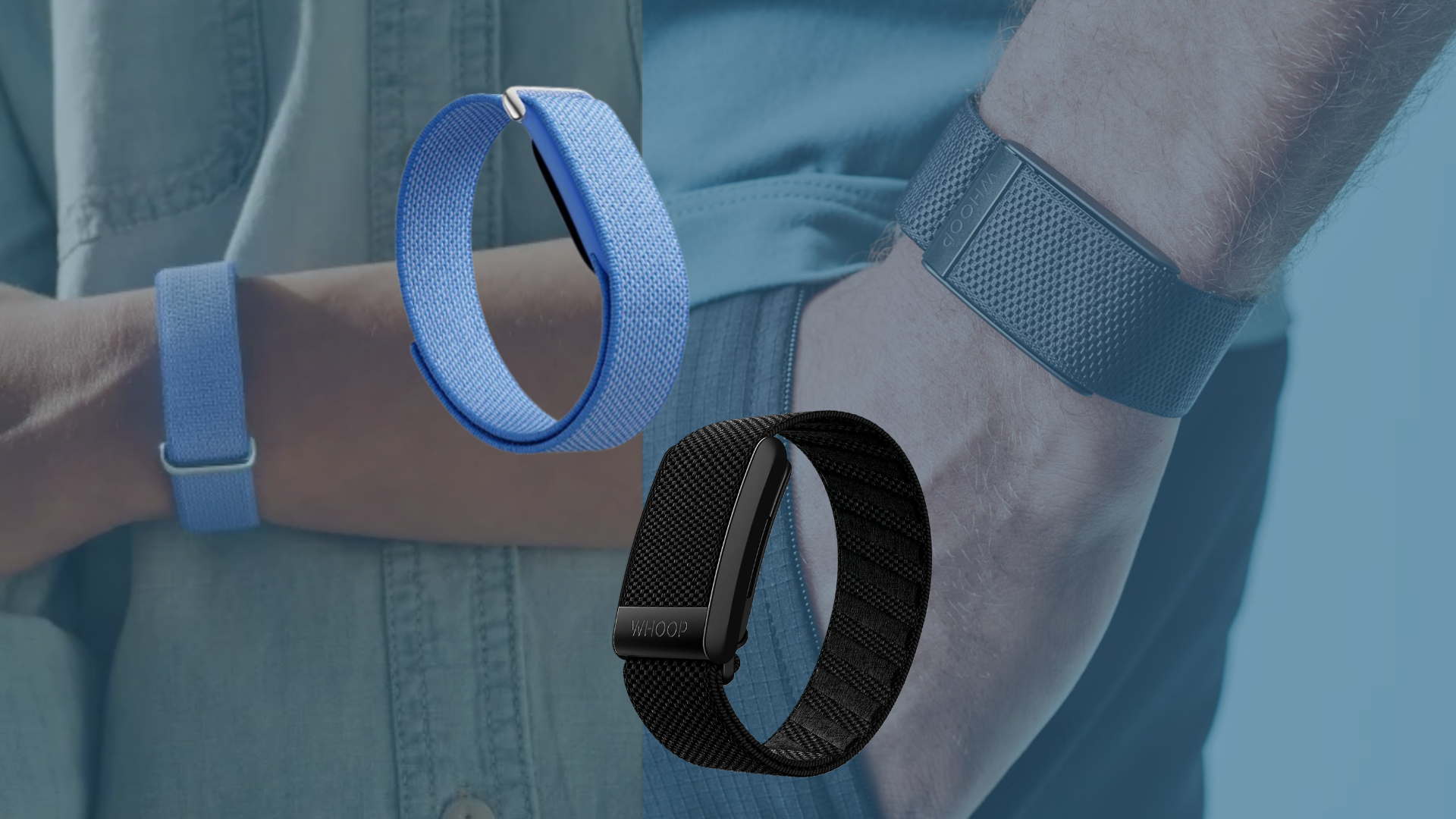 Fitbit Air hay Whoop: thiết bị theo dõi sức khỏe nào thì phù hợp với bạn?