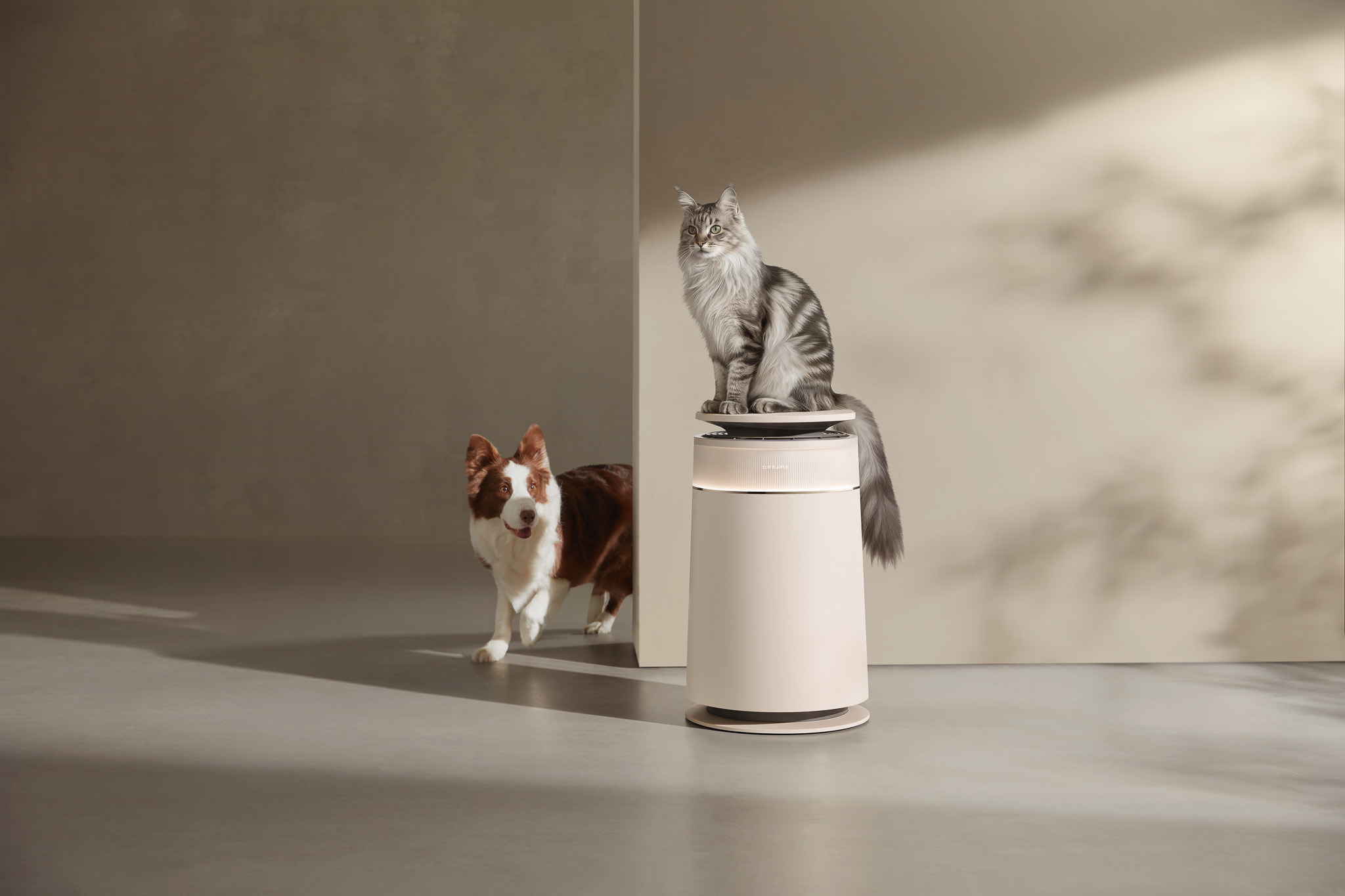 Dreame MF10 và FP10 lọt Best Inventions 2026 của TIME: Quạt không cánh và máy lọc thú cưng được vinh danh